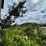 12 *