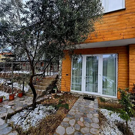 Hotel 12 Librazhet