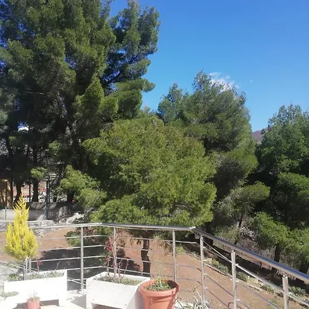 Hotel 12 *