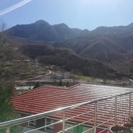 12 Hotel